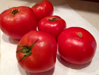 Hydroponic Tomatoes