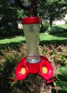 hummingbird feeder